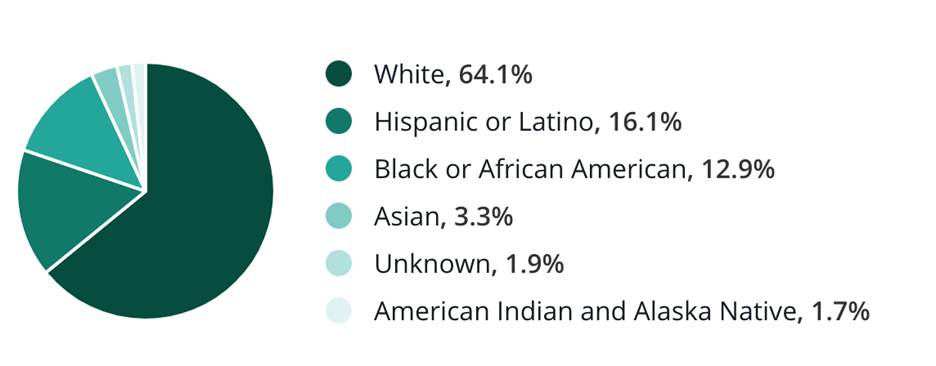 Process Server Statistics by Race