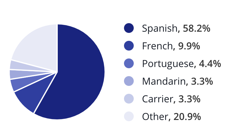 4. Foreign Languages Spoken By Process Servers