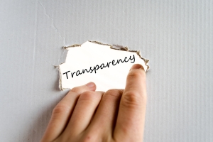 How Transparency Strengthens Client Trust