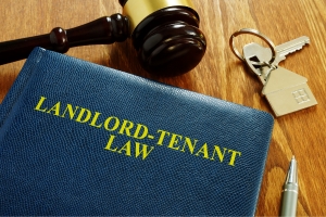 The Role of Process Service in Landlord-Tenant Disputes